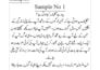 write engaging urdu and english articles and advertisement